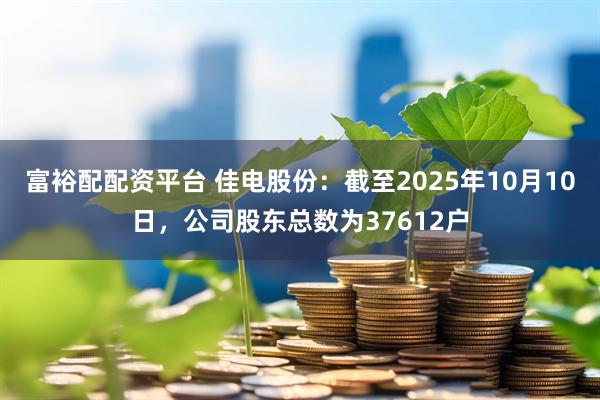 富裕配配资平台 佳电股份：截至2025年10月10日，公司股东总数为37612户