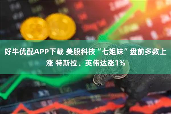好牛优配APP下载 美股科技“七姐妹”盘前多数上涨 特斯拉、英伟达涨1%
