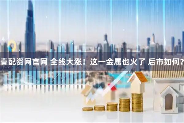 壹配资网官网 全线大涨！这一金属也火了 后市如何？
