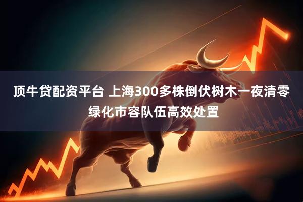 顶牛贷配资平台 上海300多株倒伏树木一夜清零 绿化市容队伍高效处置
